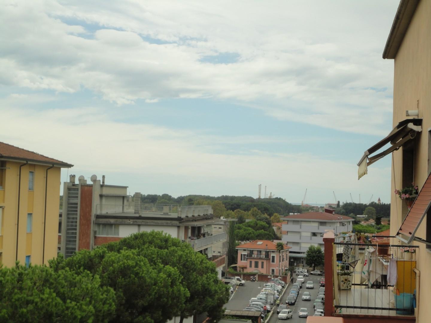 Immagine 7 di Negozio in affitto  a Carrara