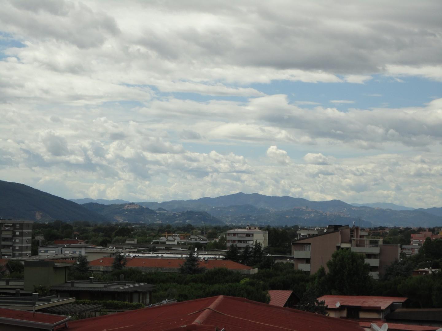 Immagine 3 di Negozio in affitto  a Carrara