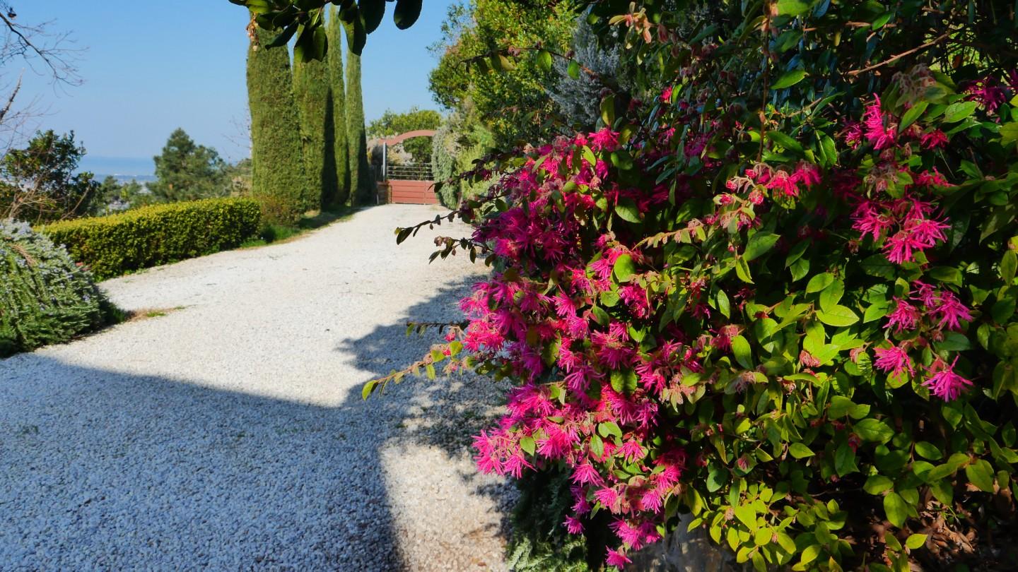 Foto annuncio 12
