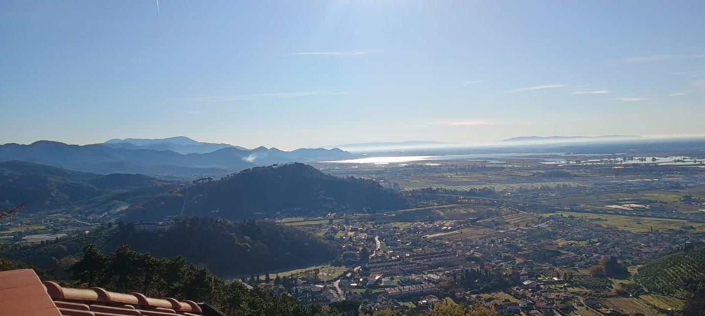 Foto annuncio 16