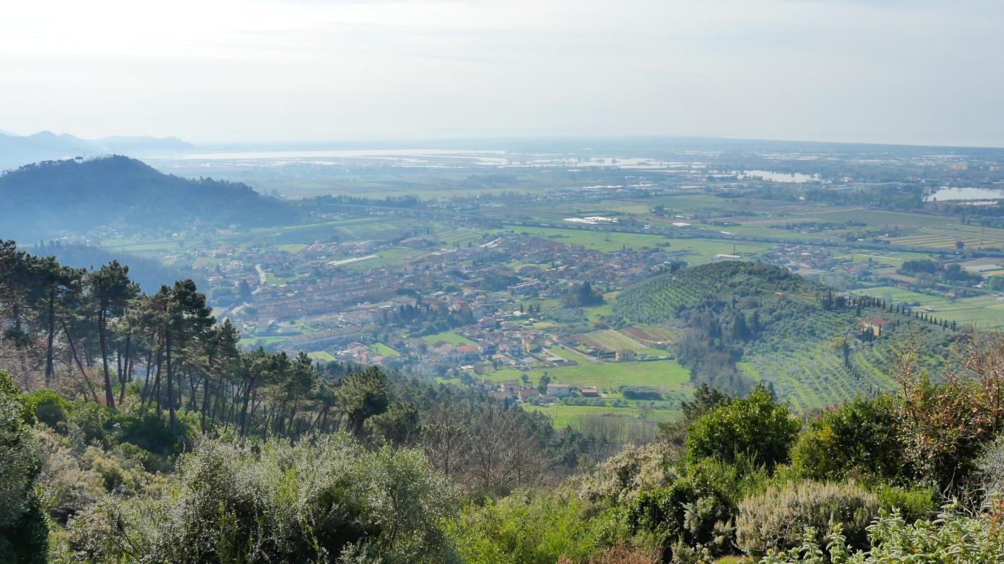 Foto annuncio 65