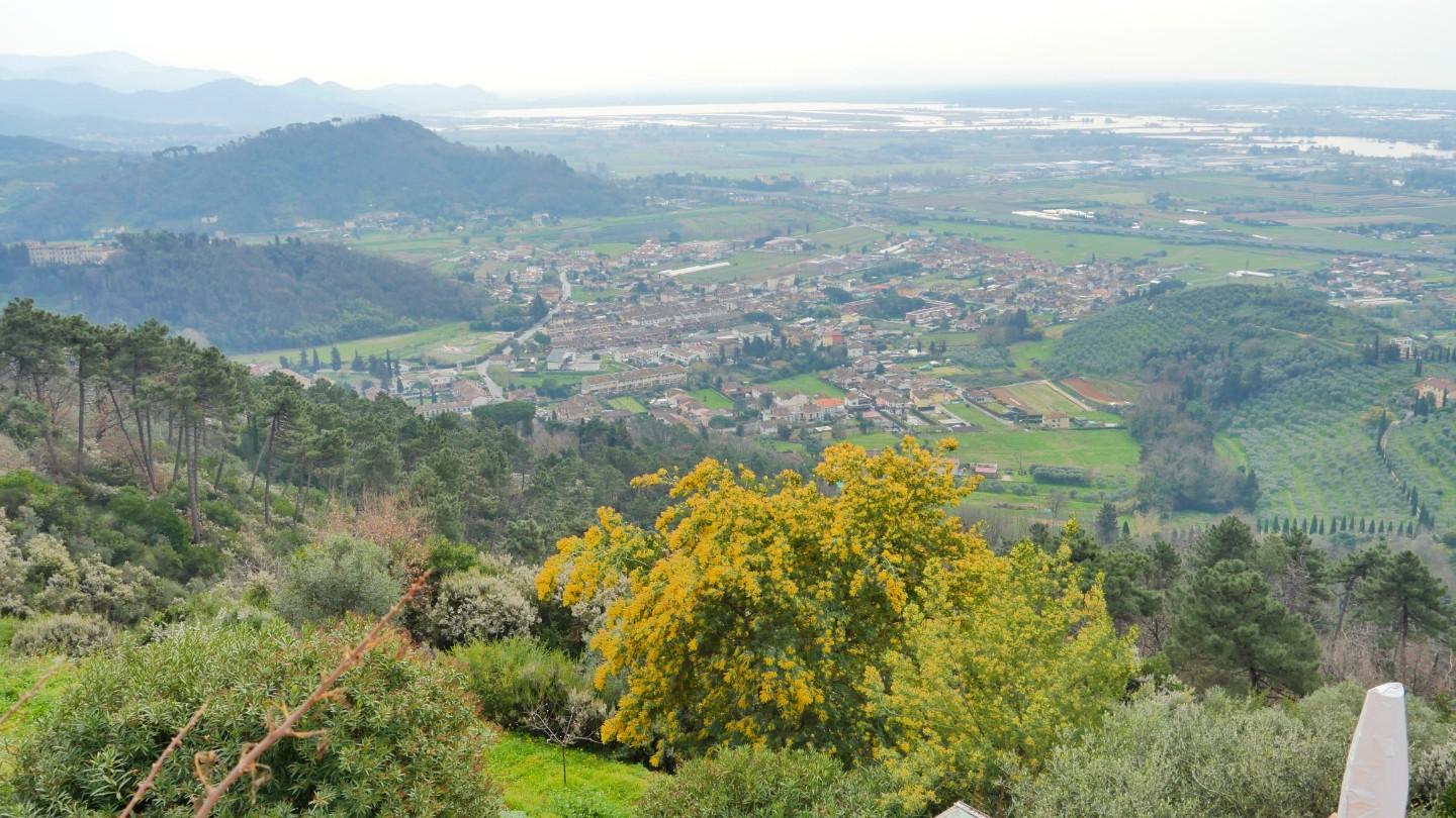 Foto annuncio 151