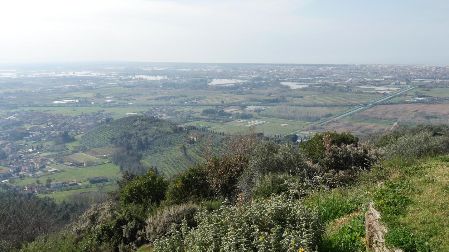 Foto annuncio 67