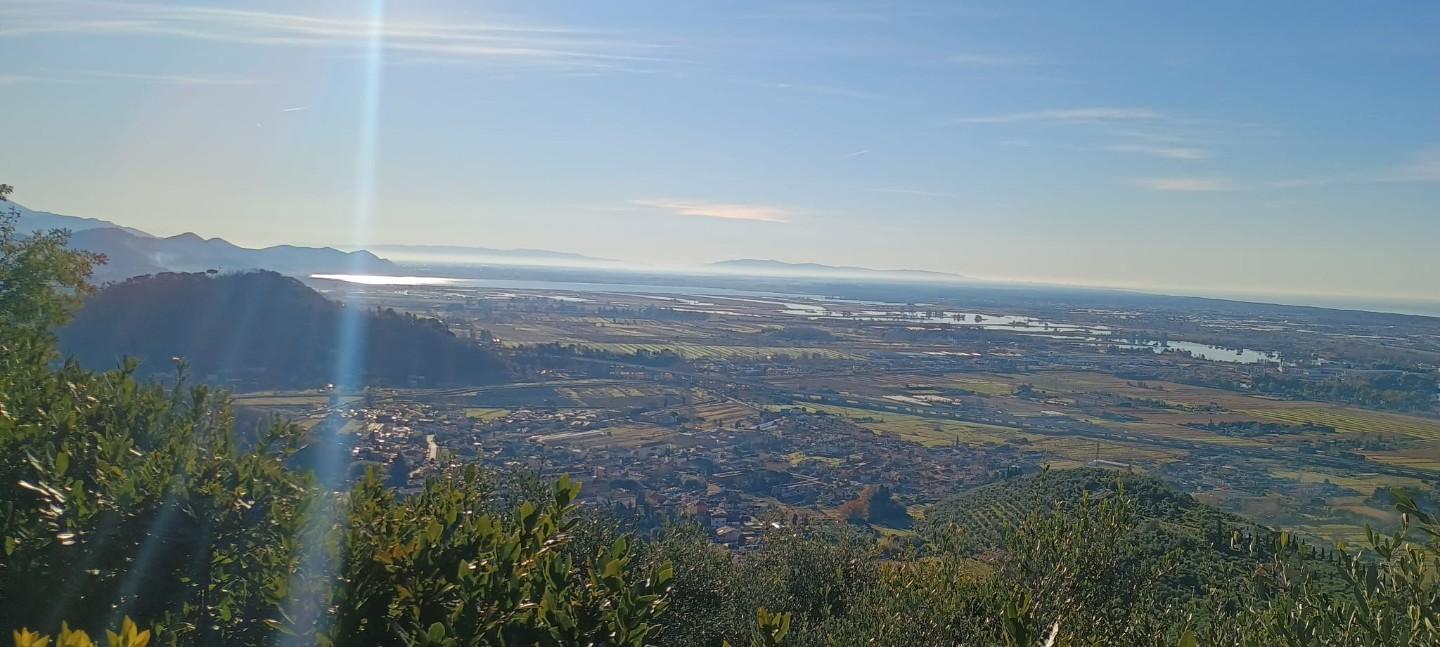 Foto annuncio 18