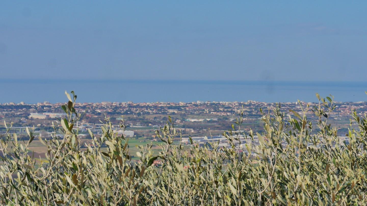 Foto annuncio 18