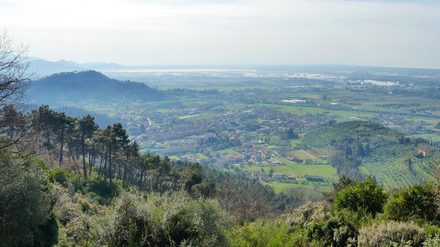 Foto annuncio 66