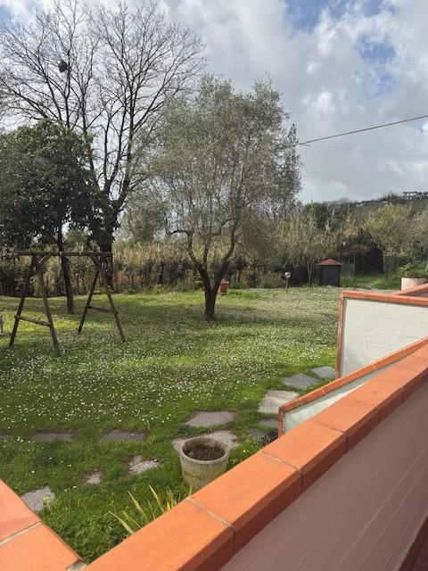 Foto annuncio 20