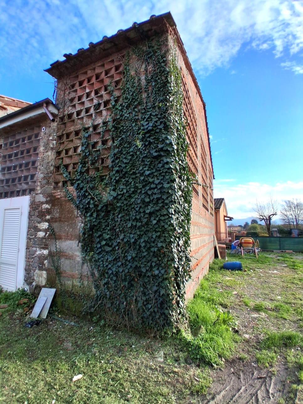 Immagine 5 di Terratetto in vendita  a Capannori