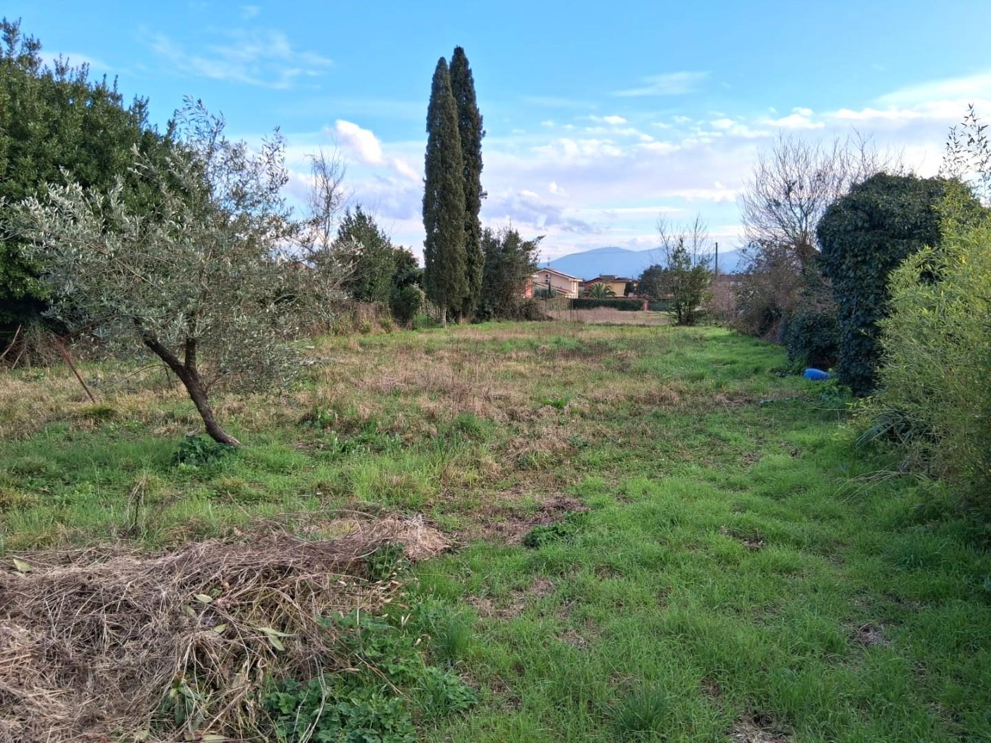 Immagine 2 di Terratetto in vendita  a Capannori