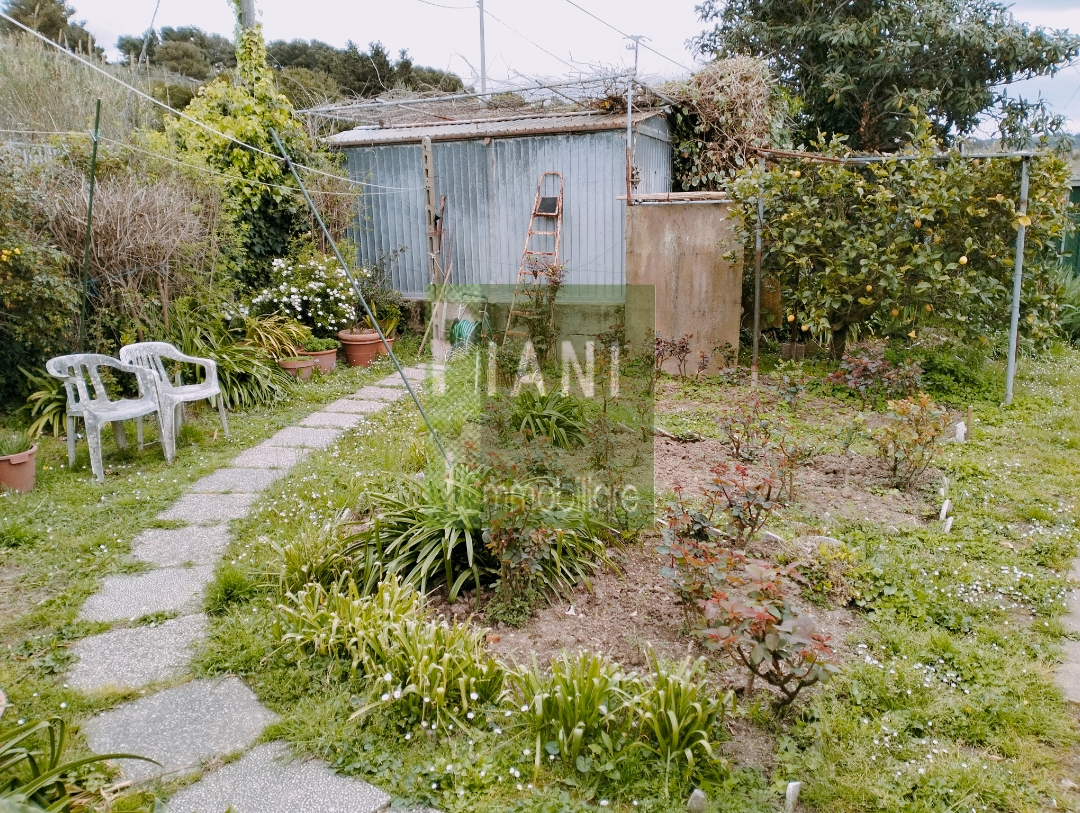 Immagine 12 di Appartamento in vendita  a Livorno