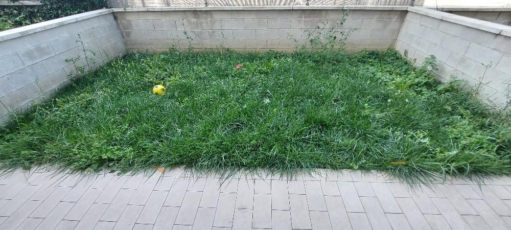 Immagine 5 di Villetta a schiera in vendita  a Pistoia