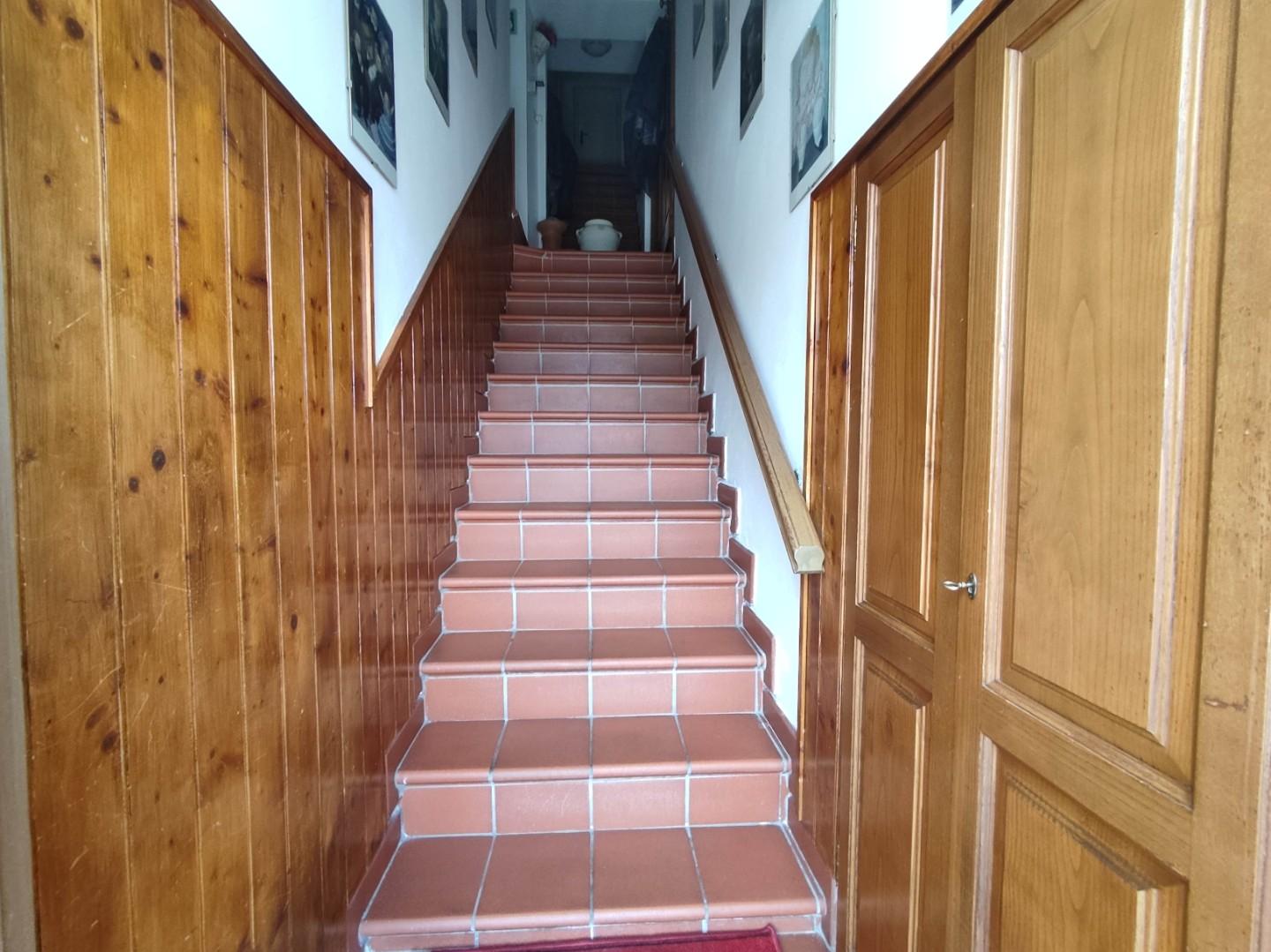Foto annuncio 23