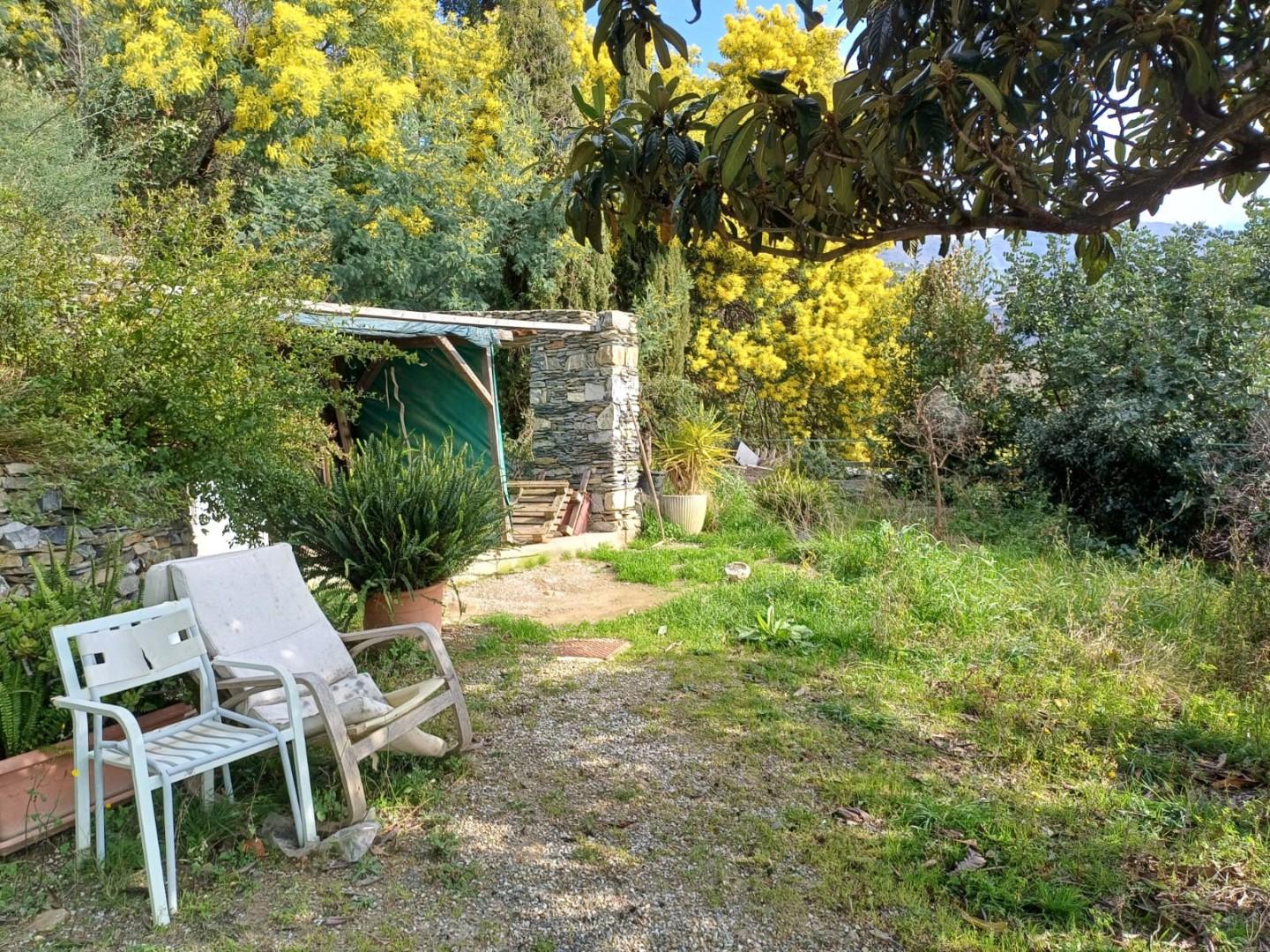Foto annuncio 6