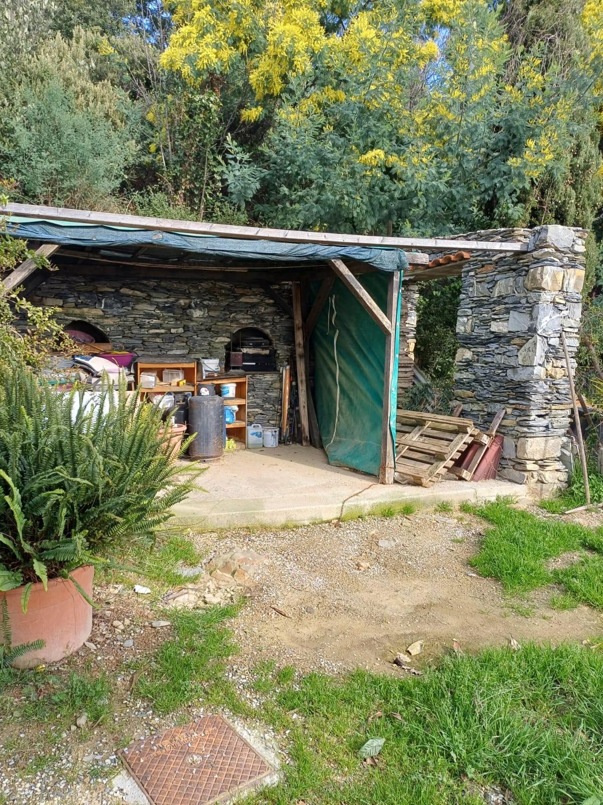 Foto annuncio 10