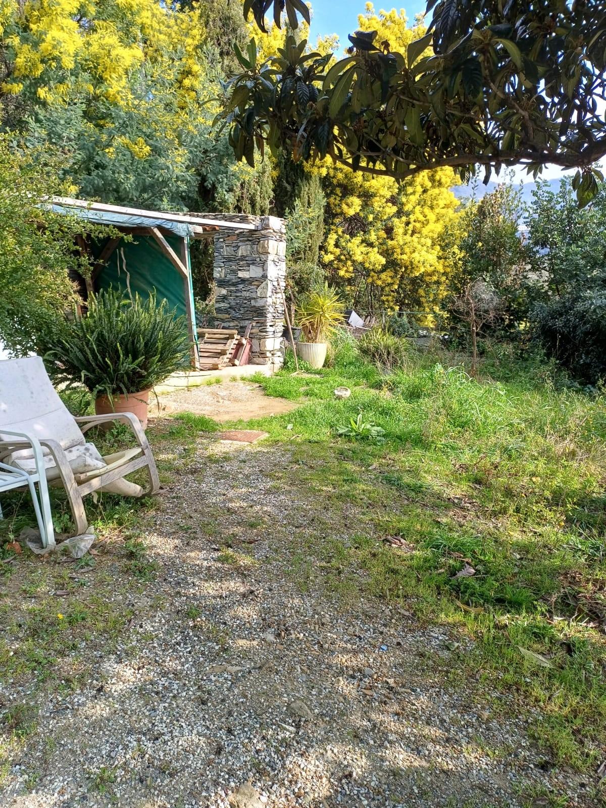 Foto annuncio 7