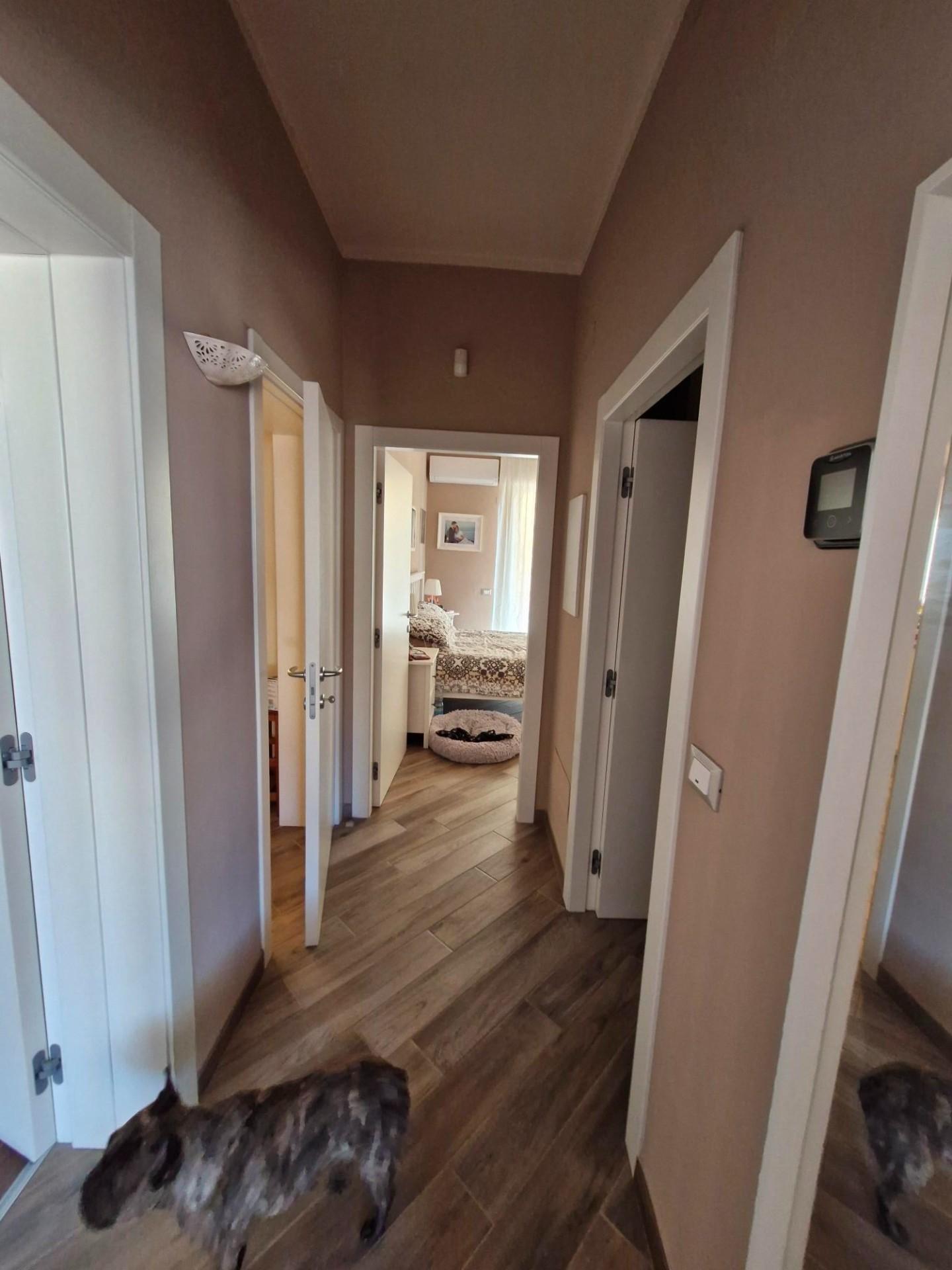 Immagine 14 di Appartamento in vendita  a San Vincenzo