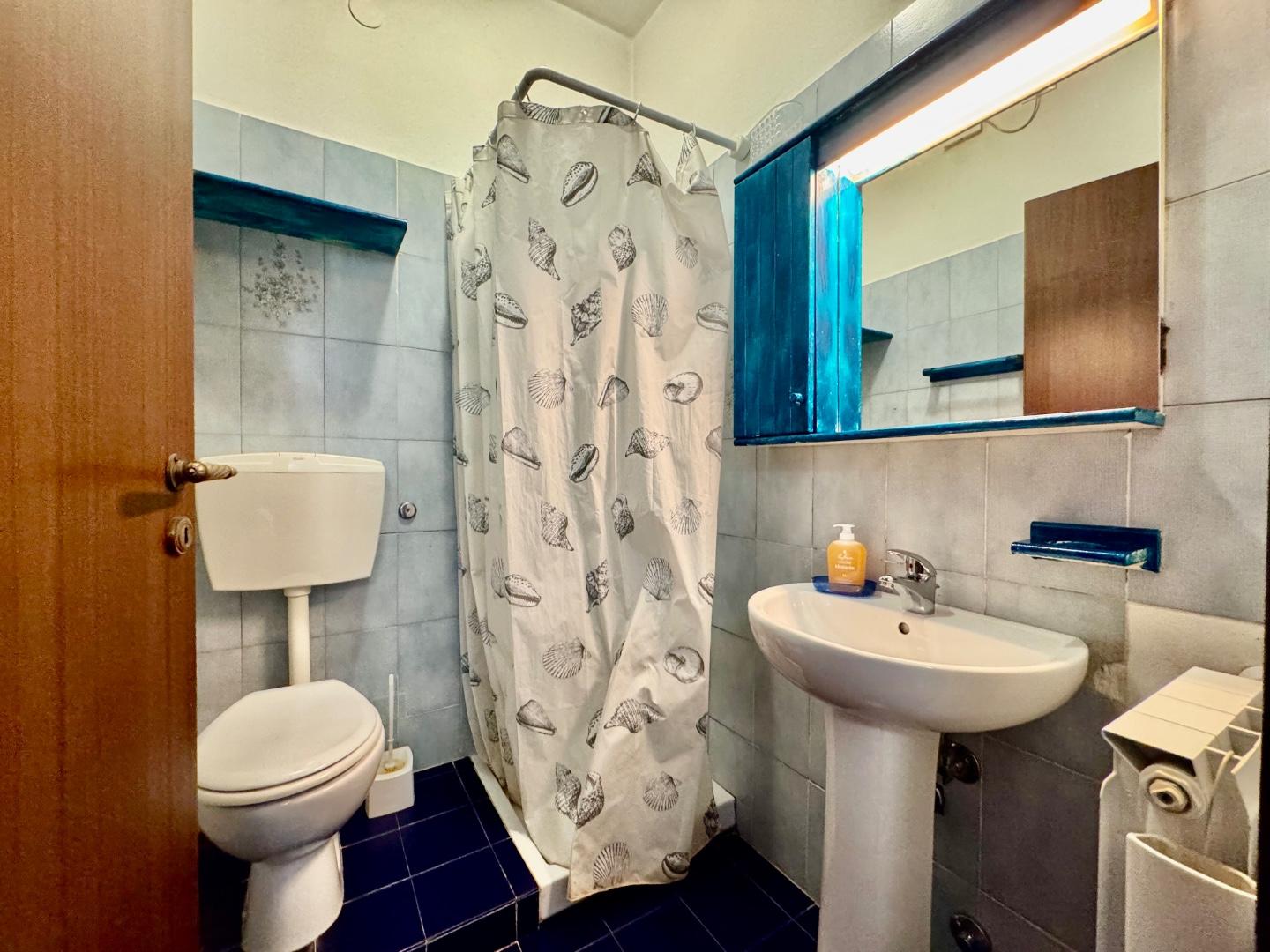 Immagine 13 di Appartamento in vendita  a Massa