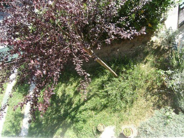 Immagine 38 di Casa bifamiliare in vendita  a Vecchiano