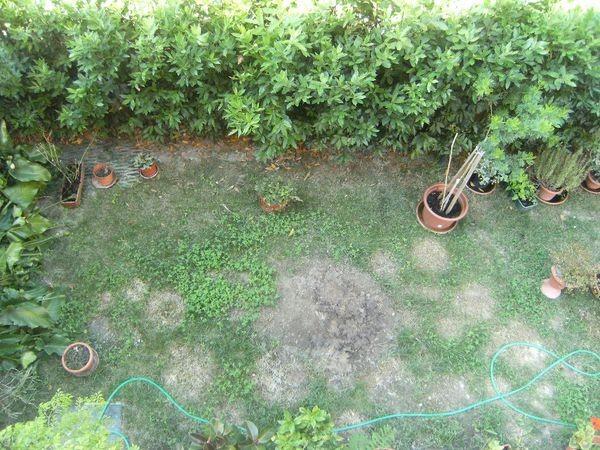 Immagine 36 di Casa bifamiliare in vendita  a Vecchiano