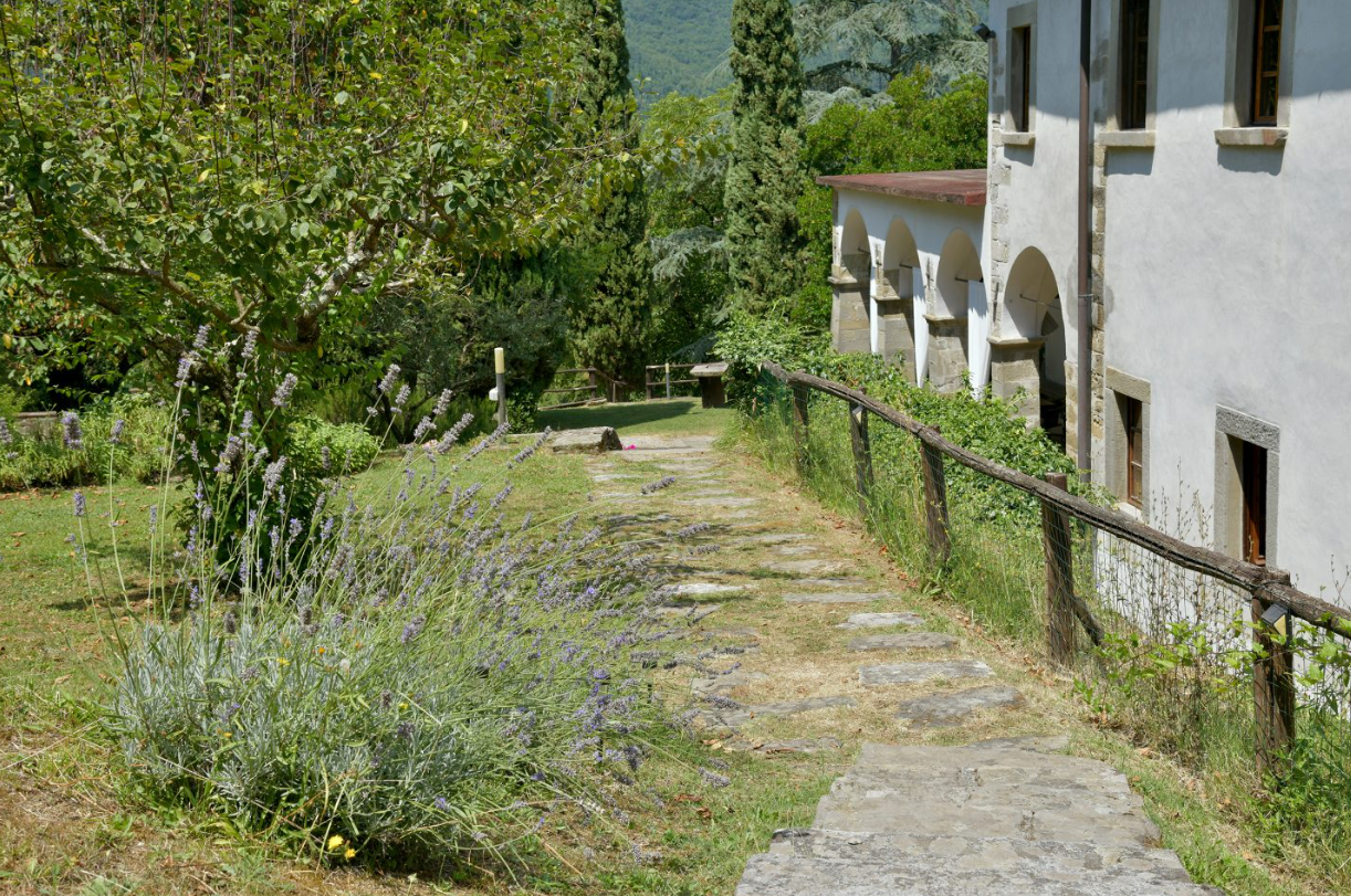 Foto annuncio 72