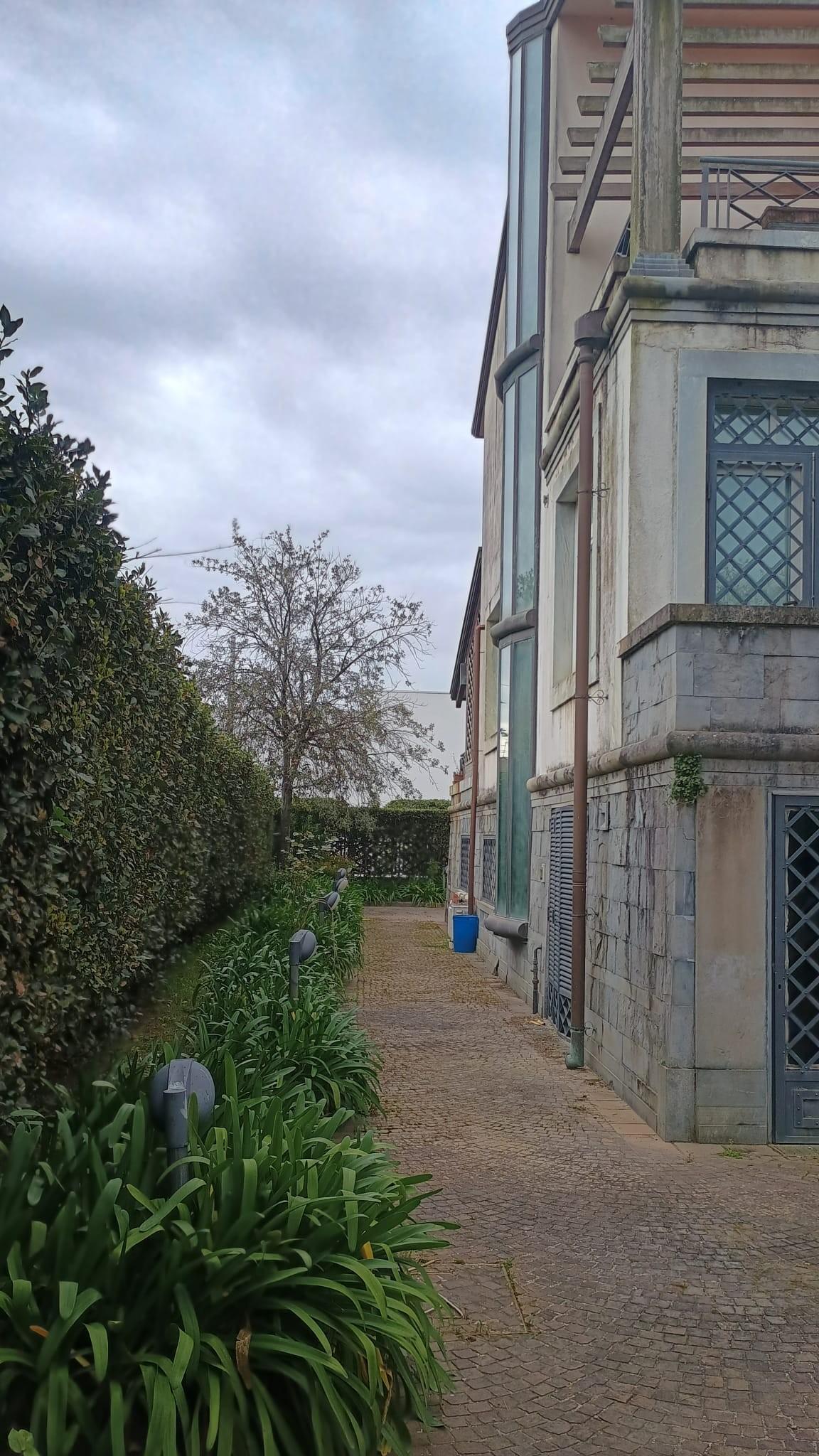 Foto annuncio 61