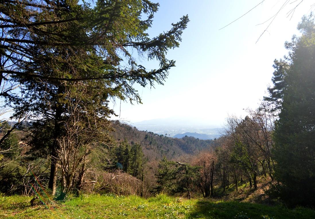 Foto annuncio 8