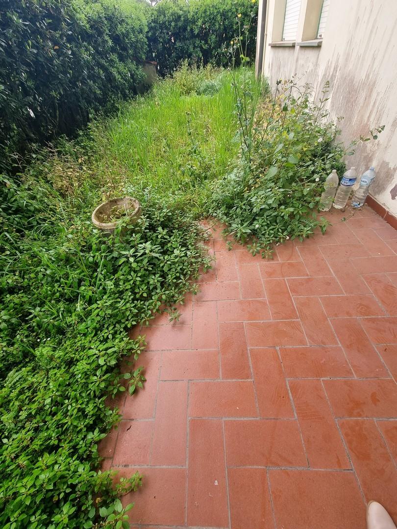 Foto annuncio 8