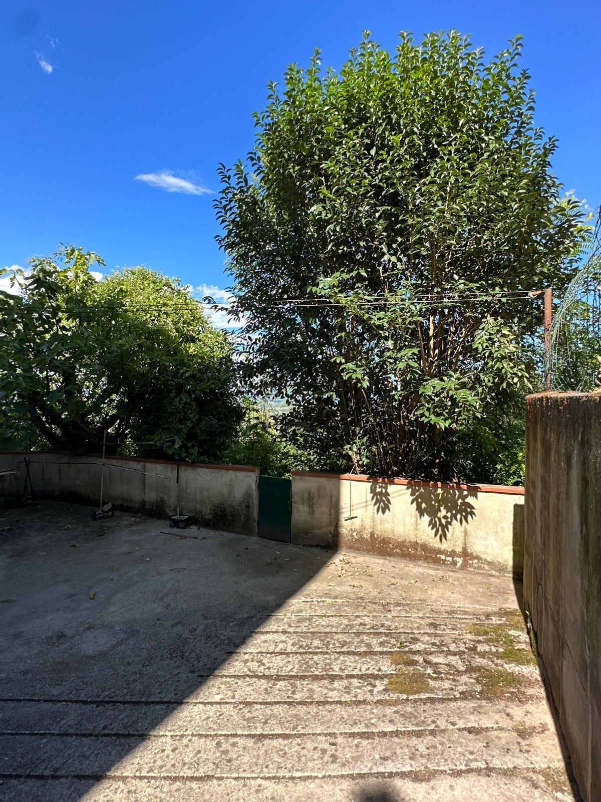 Immagine 57 di Terratetto in vendita  a San Miniato