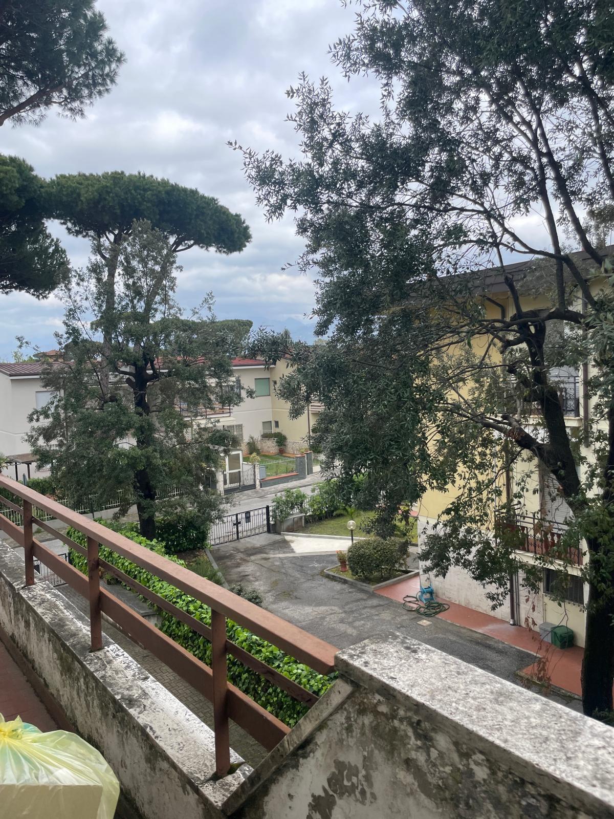 Immagine 5 di Appartamento in vendita  a Camaiore