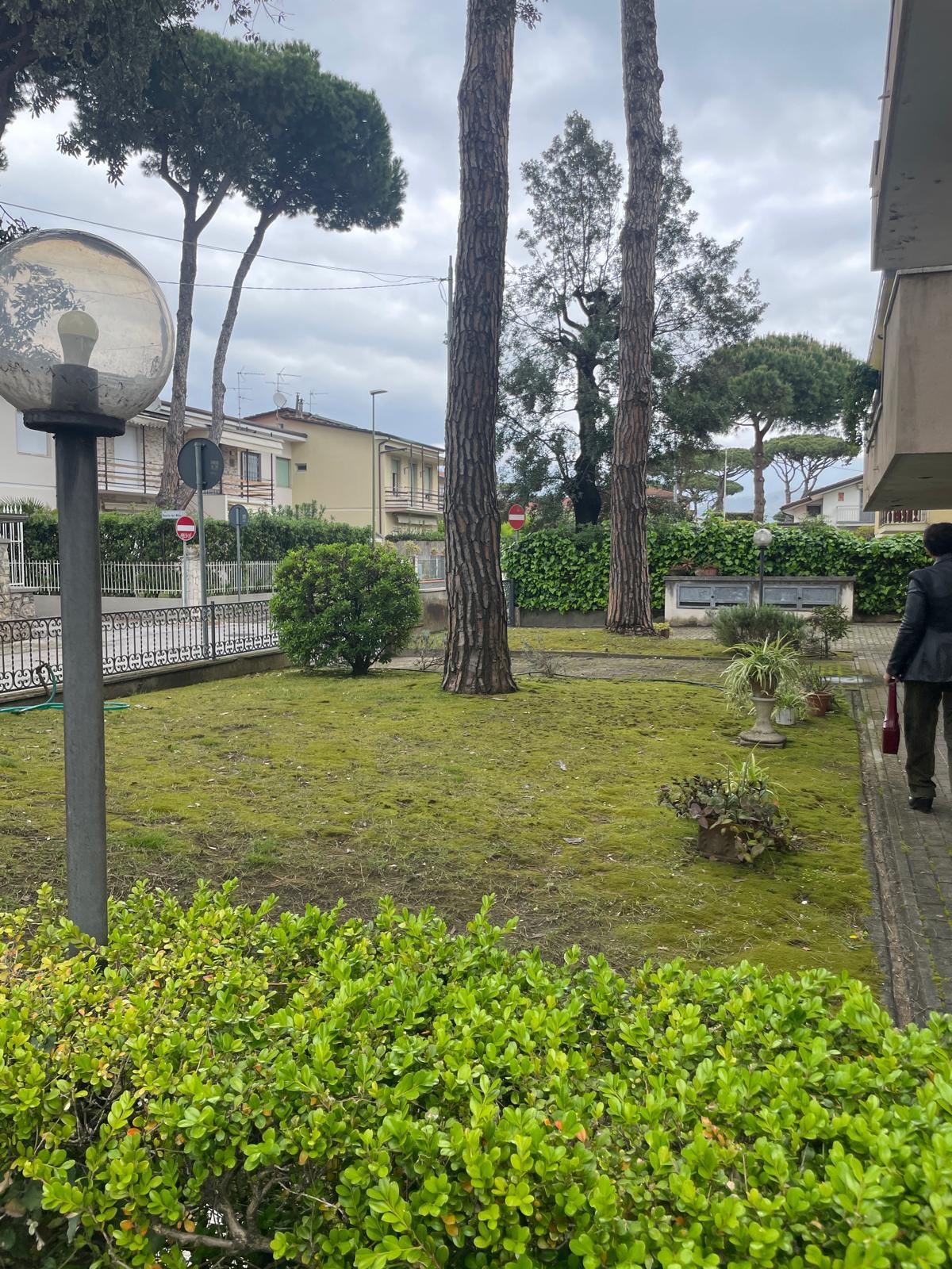 Immagine 10 di Appartamento in vendita  a Camaiore