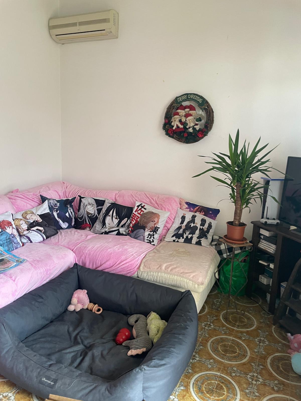 Immagine 3 di Appartamento in vendita  a Camaiore