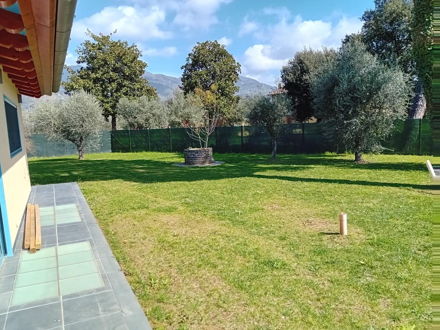 Foto annuncio 8