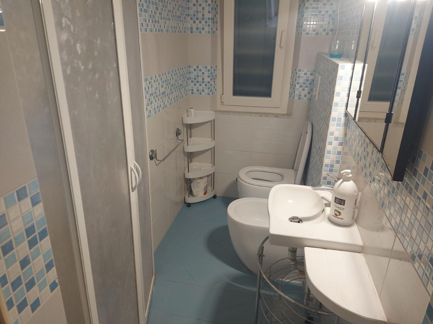 Immagine 12 di Appartamento in affitto  a Rosignano Marittimo