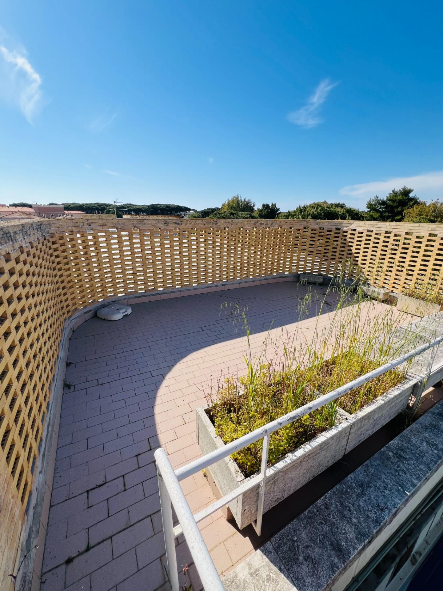 Immagine 1 di Appartamento in vendita  a Bibbona