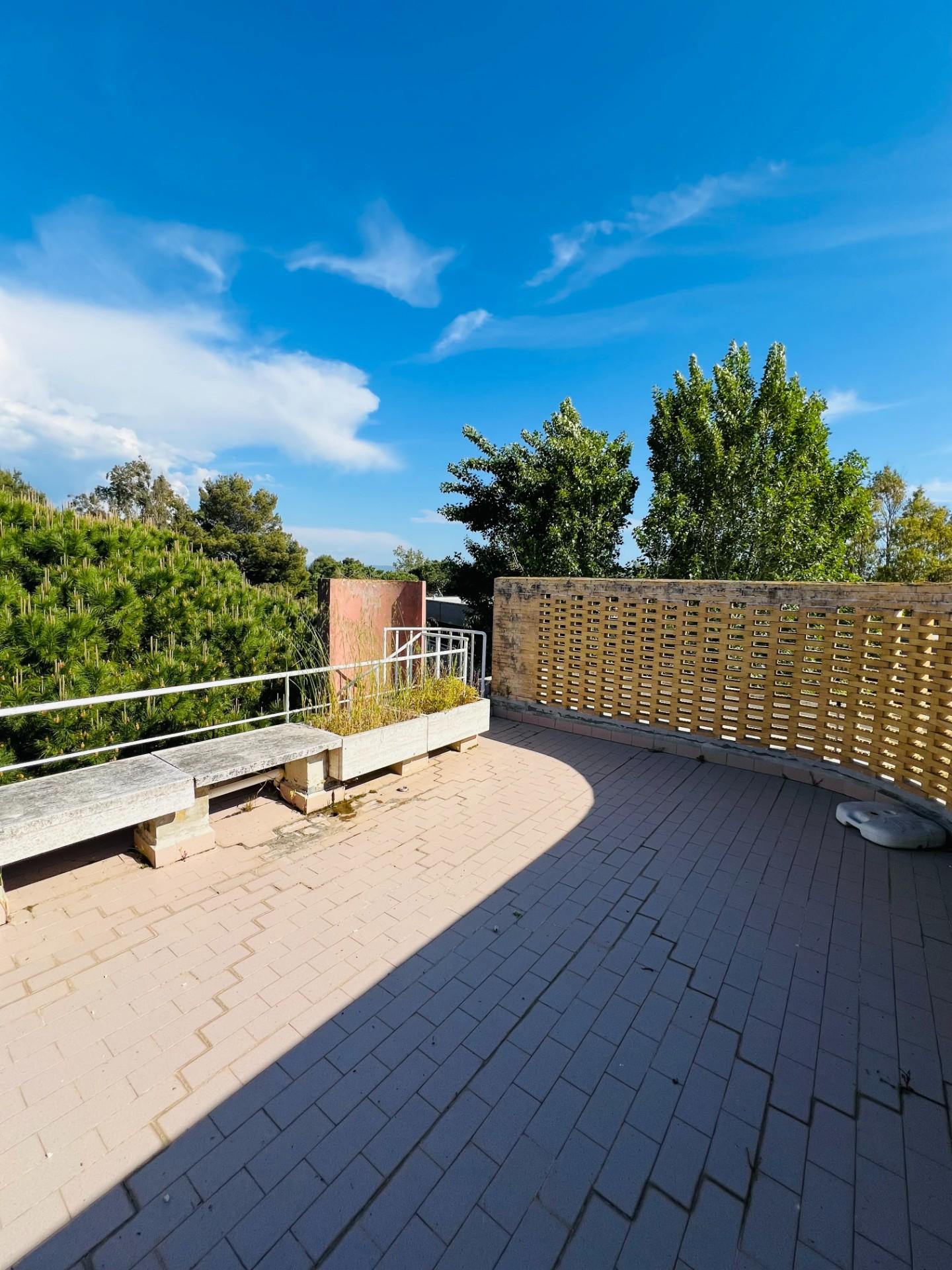 Immagine 2 di Appartamento in vendita  a Bibbona