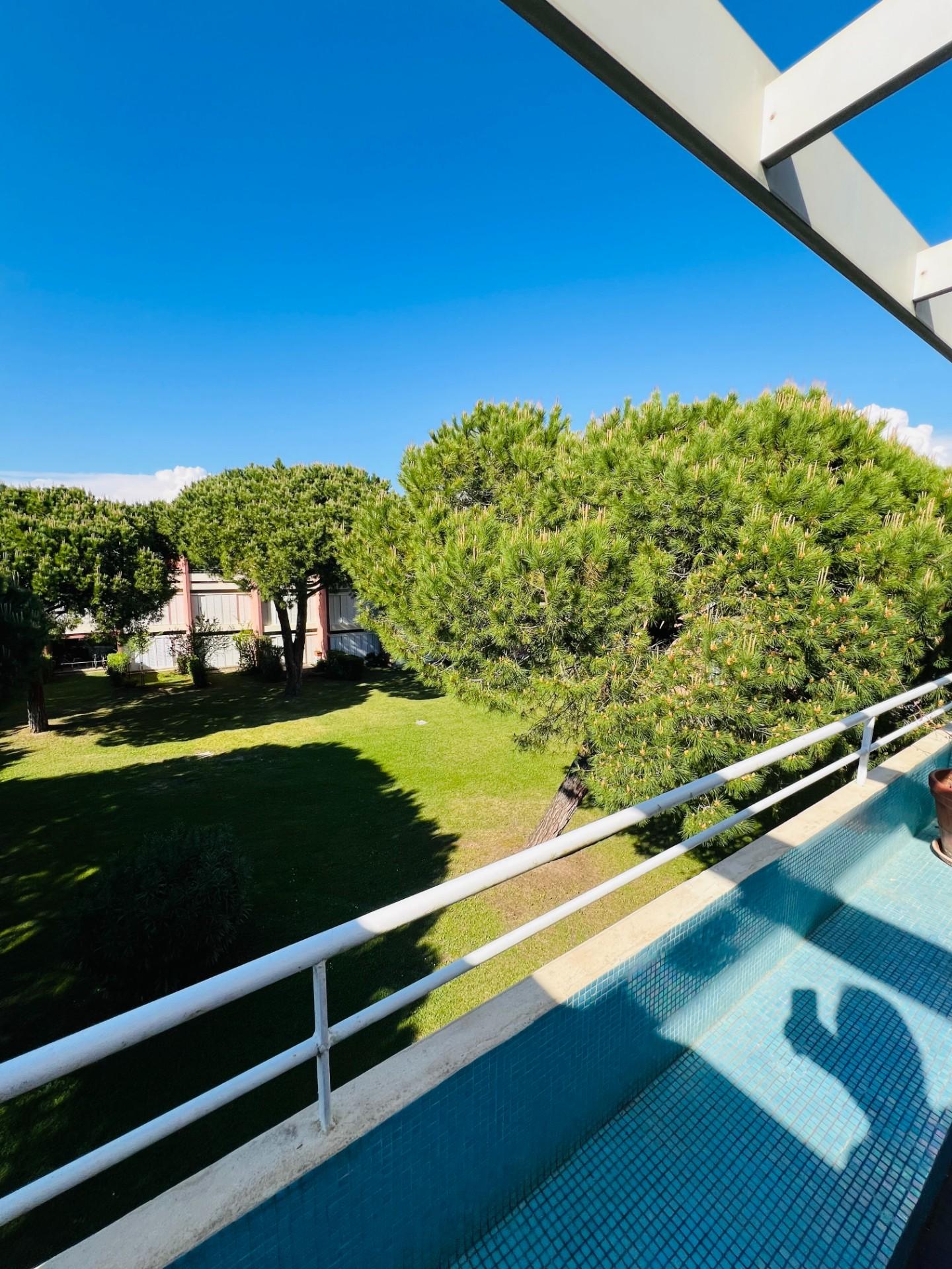 Immagine 11 di Appartamento in vendita  a Bibbona