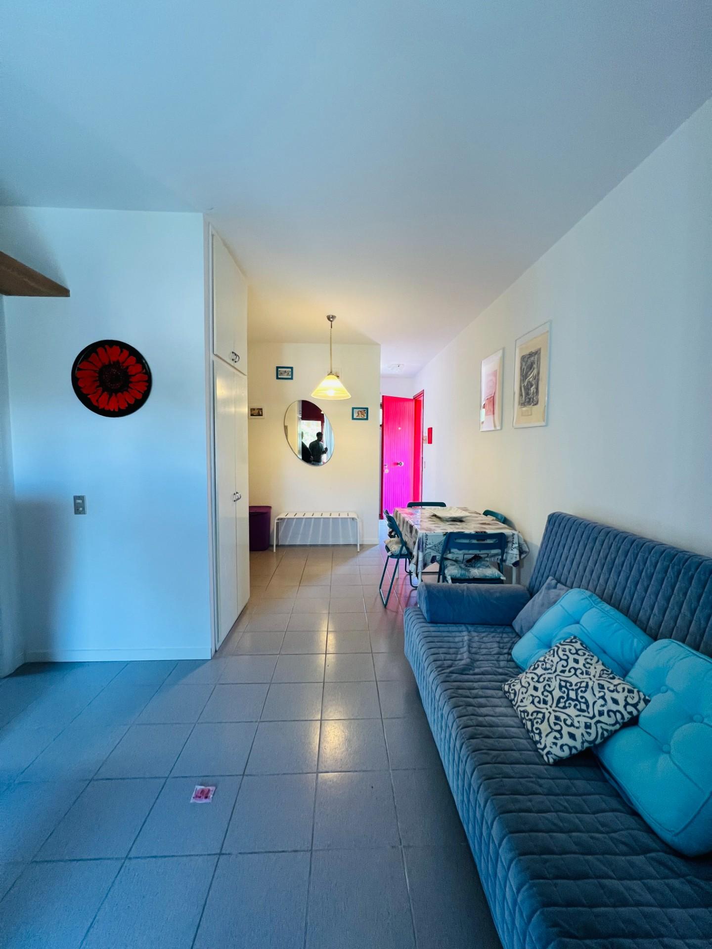 Immagine 28 di Appartamento in vendita  a Bibbona