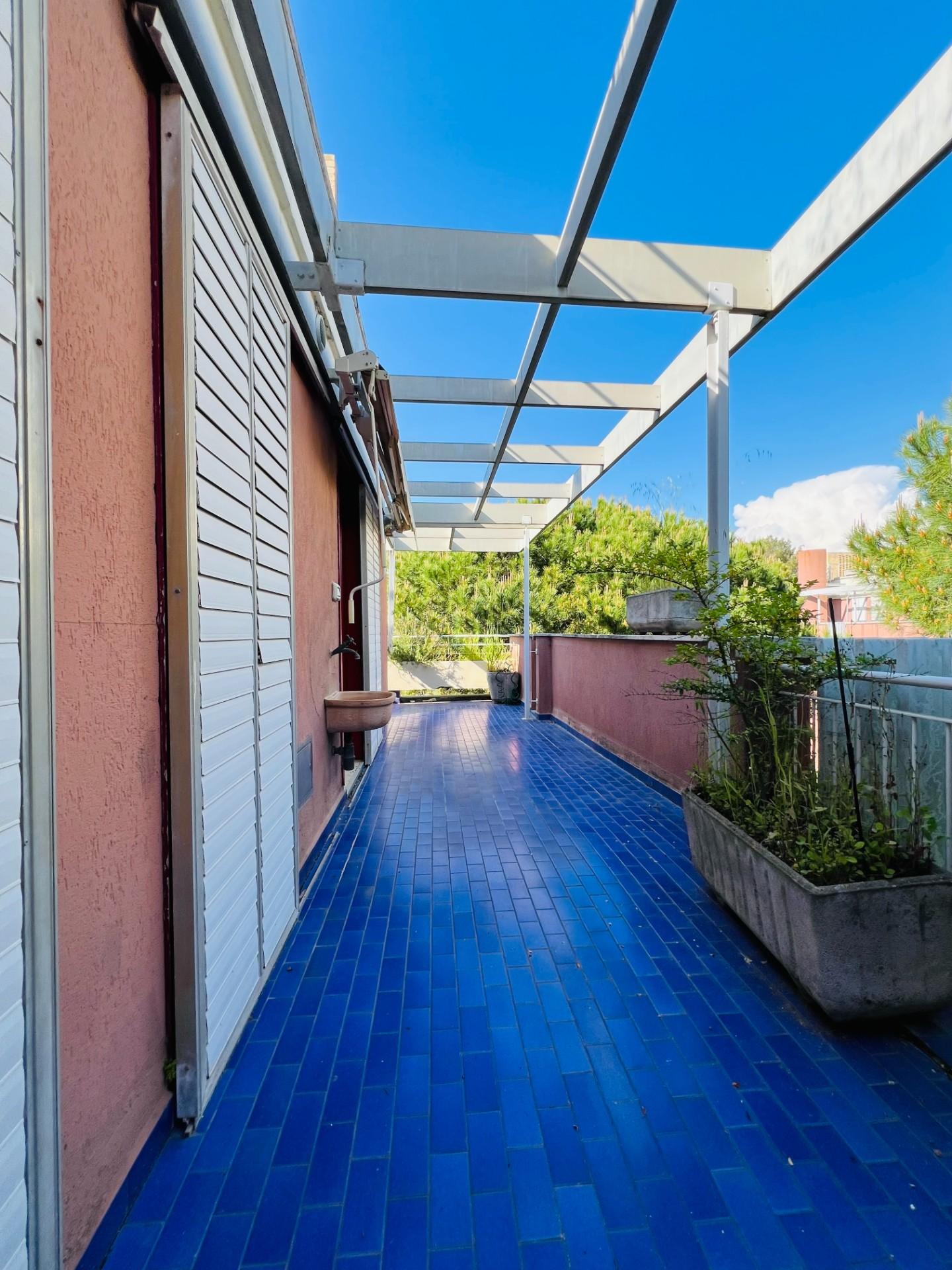 Immagine 5 di Appartamento in vendita  a Bibbona