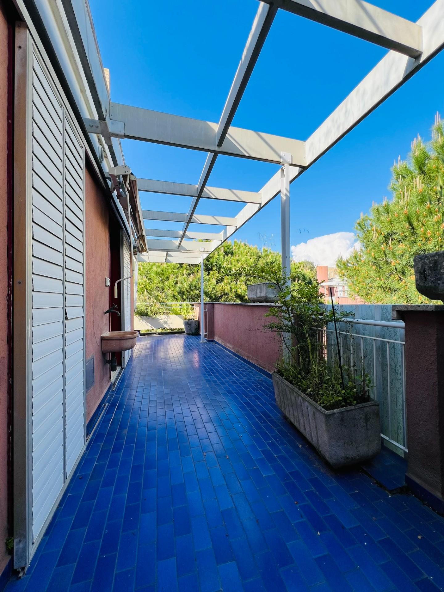 Immagine 6 di Appartamento in vendita  a Bibbona