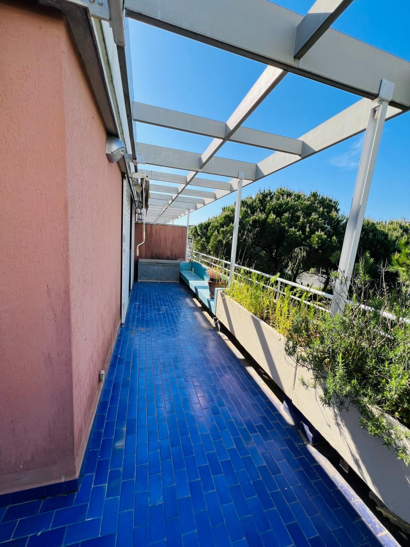 Immagine 9 di Appartamento in vendita  a Bibbona