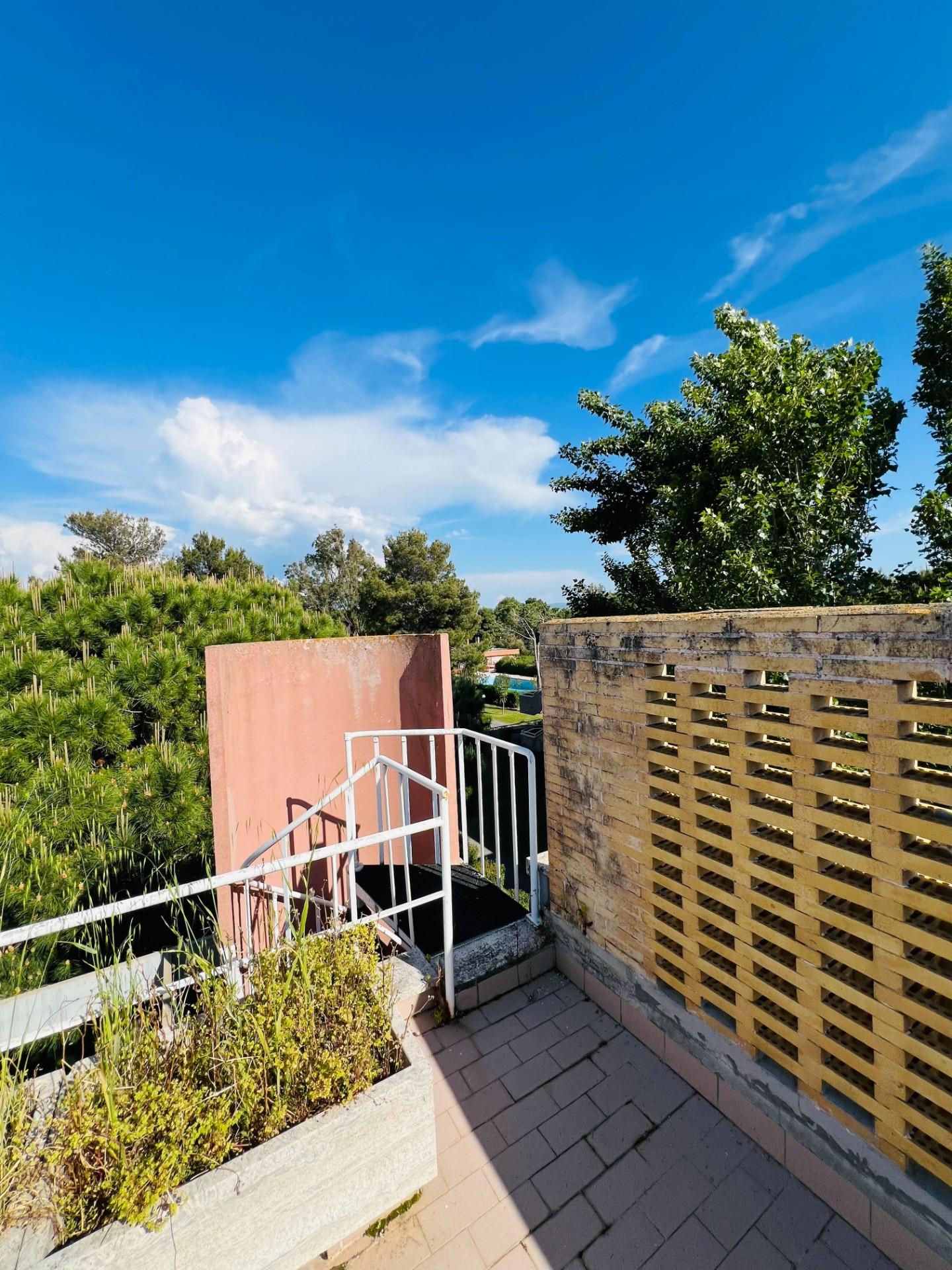 Immagine 3 di Appartamento in vendita  a Bibbona