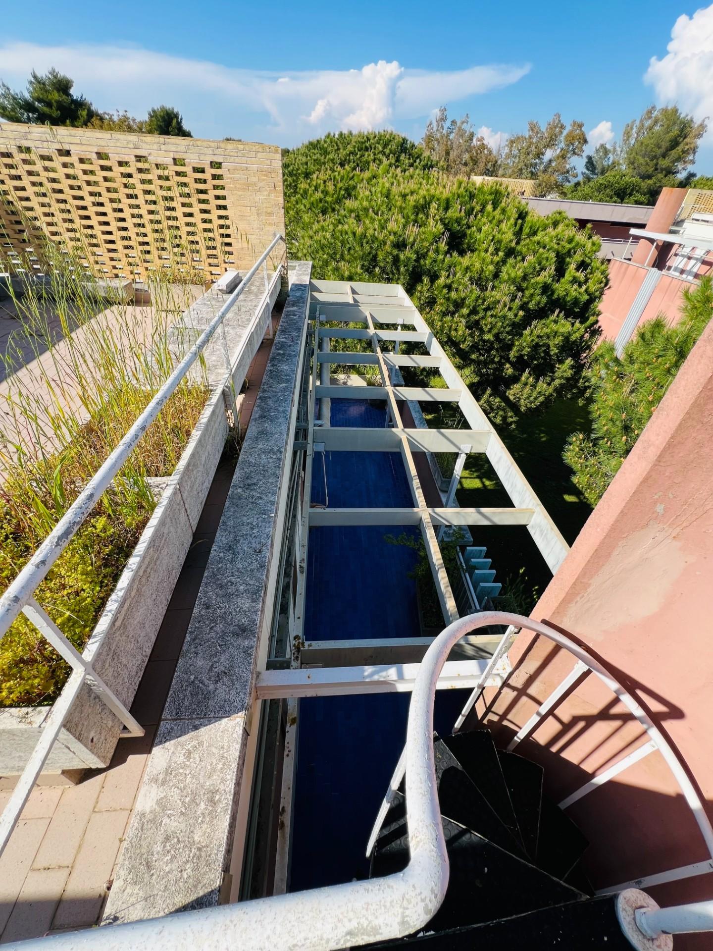 Immagine 4 di Appartamento in vendita  a Bibbona