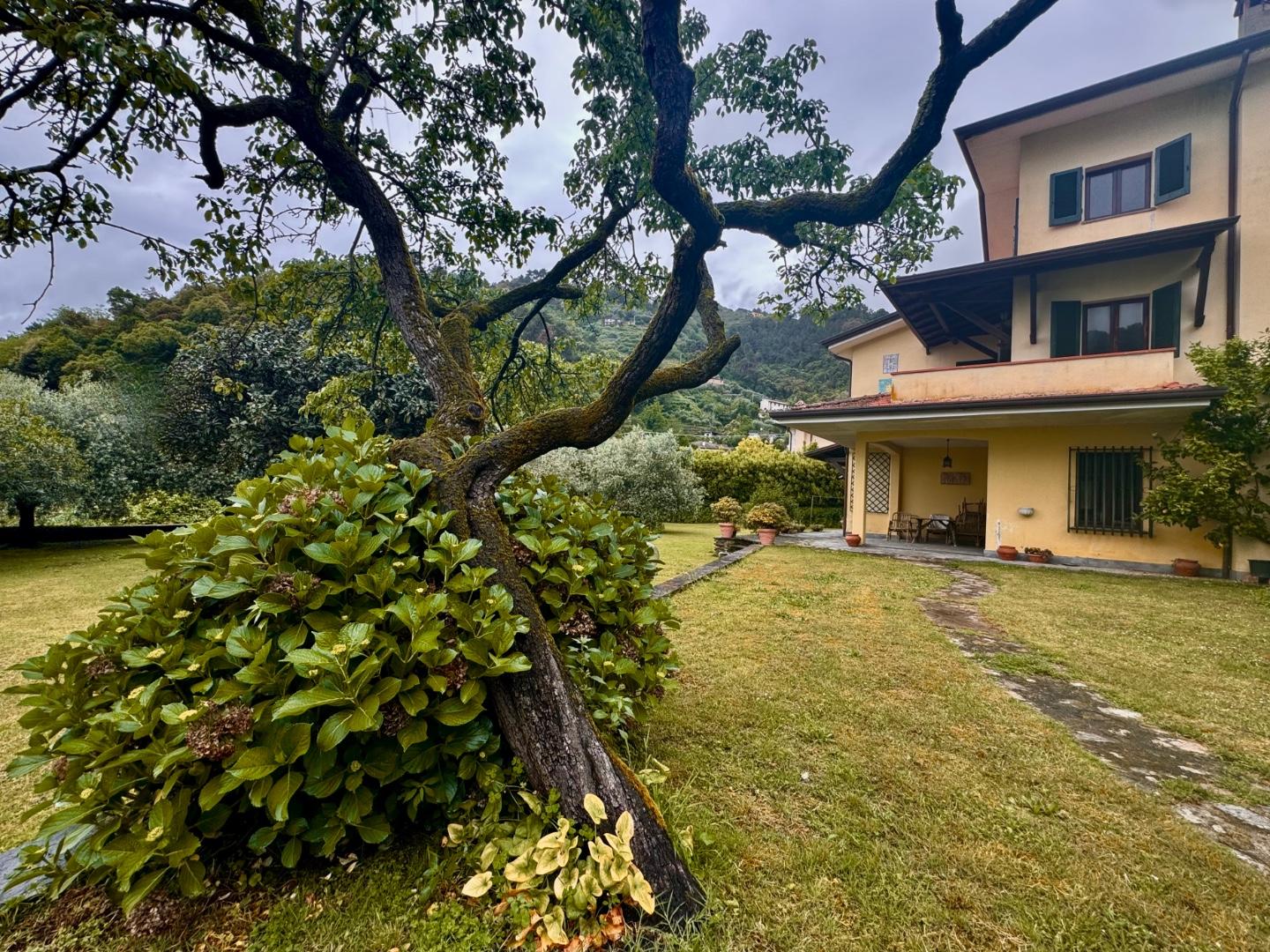 Immagine 2 di Casa bifamiliare in vendita  a Montignoso