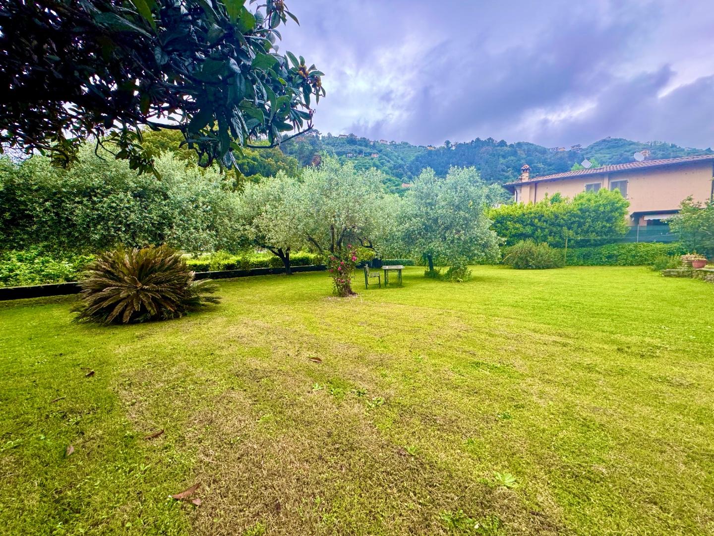 Immagine 3 di Casa bifamiliare in vendita  a Montignoso