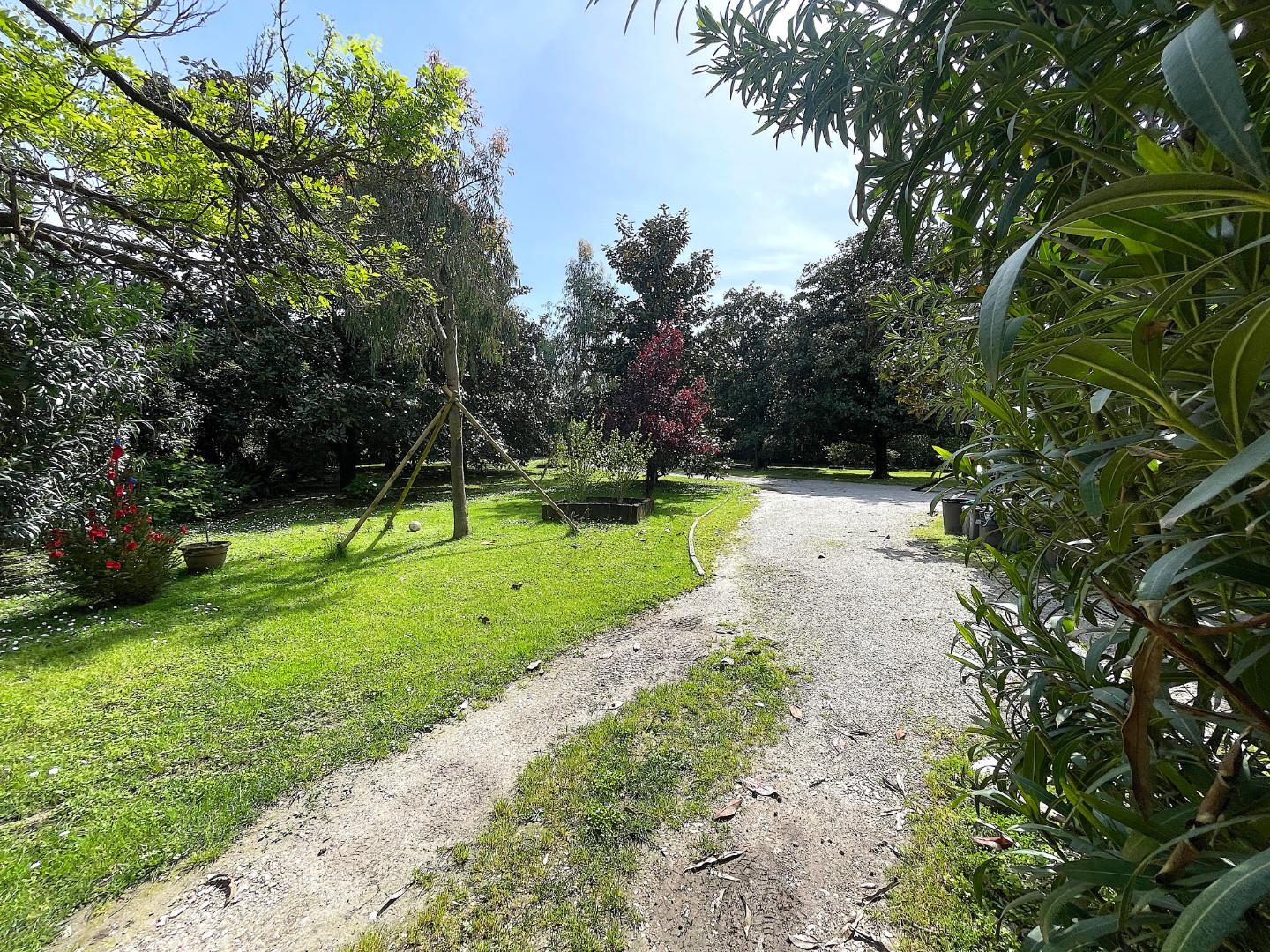 Immagine 1 di Appartamento in vendita  a Pietrasanta