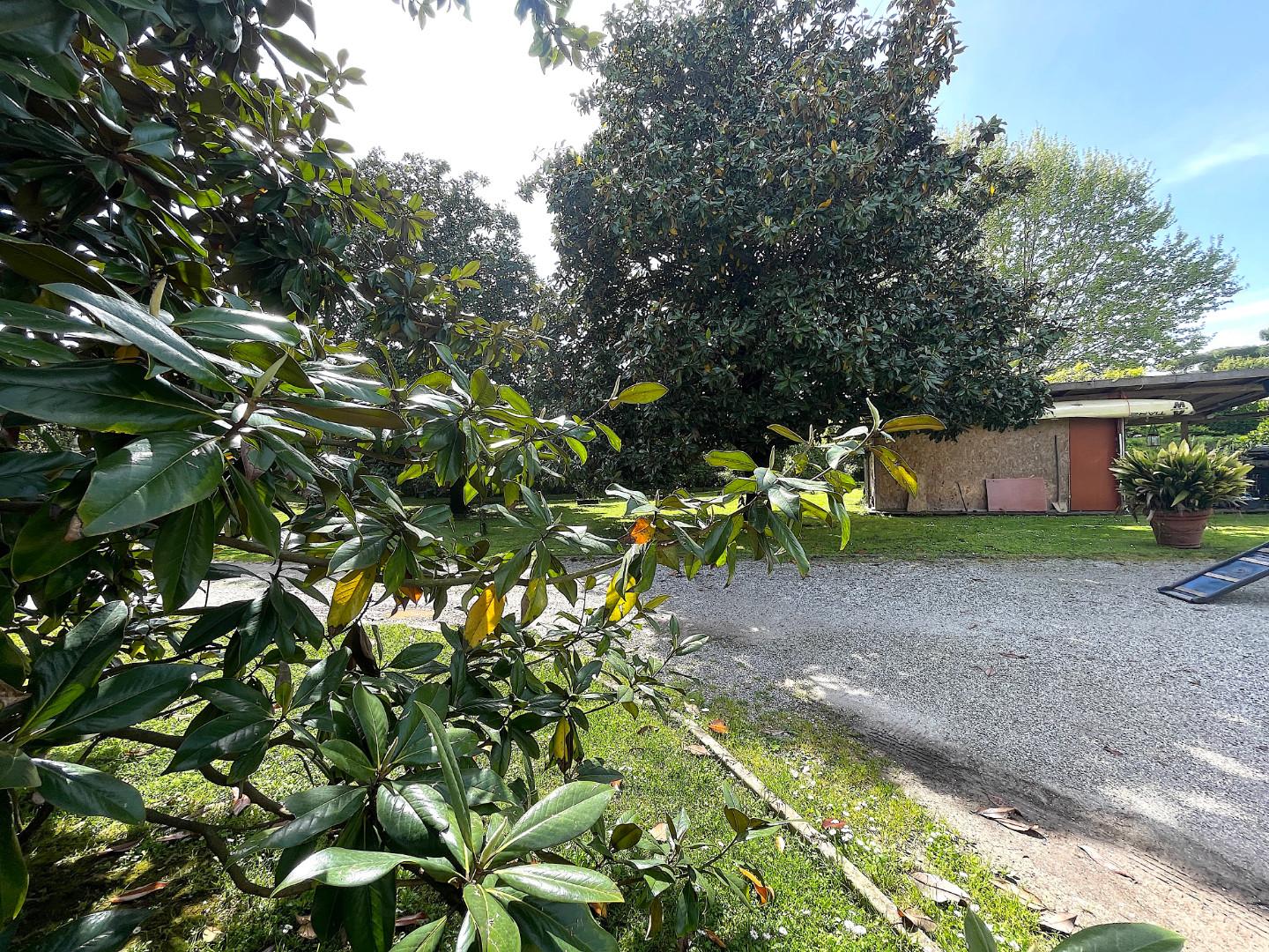 Immagine 2 di Appartamento in vendita  a Pietrasanta