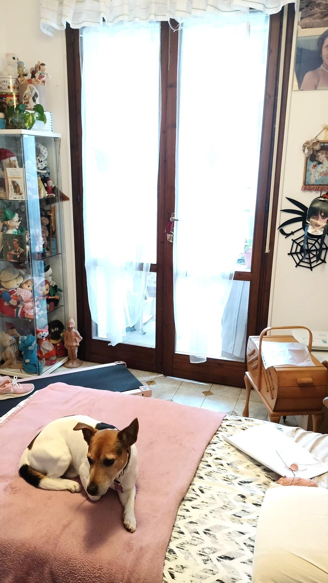 Foto annuncio 29