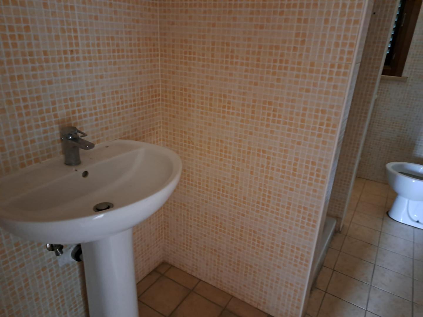 Immagine 5 di Appartamento in vendita  a Terricciola