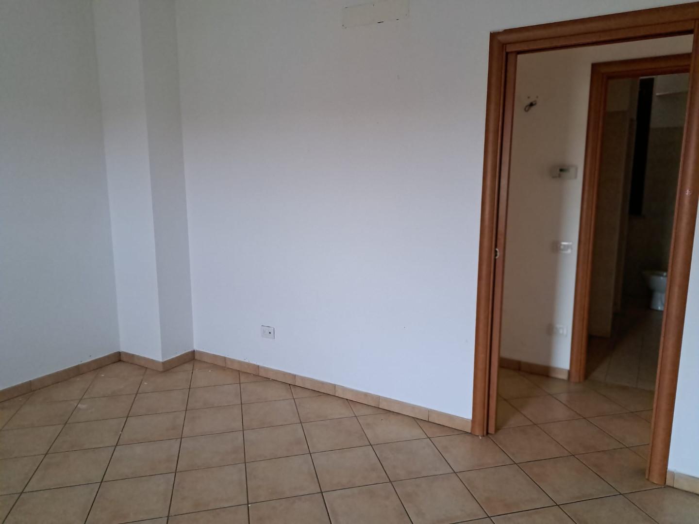 Immagine 3 di Appartamento in vendita  a Terricciola