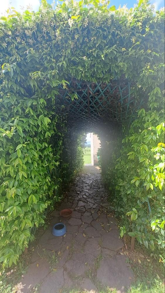 Immagine 53 di Casa colonica in vendita  a Pontedera